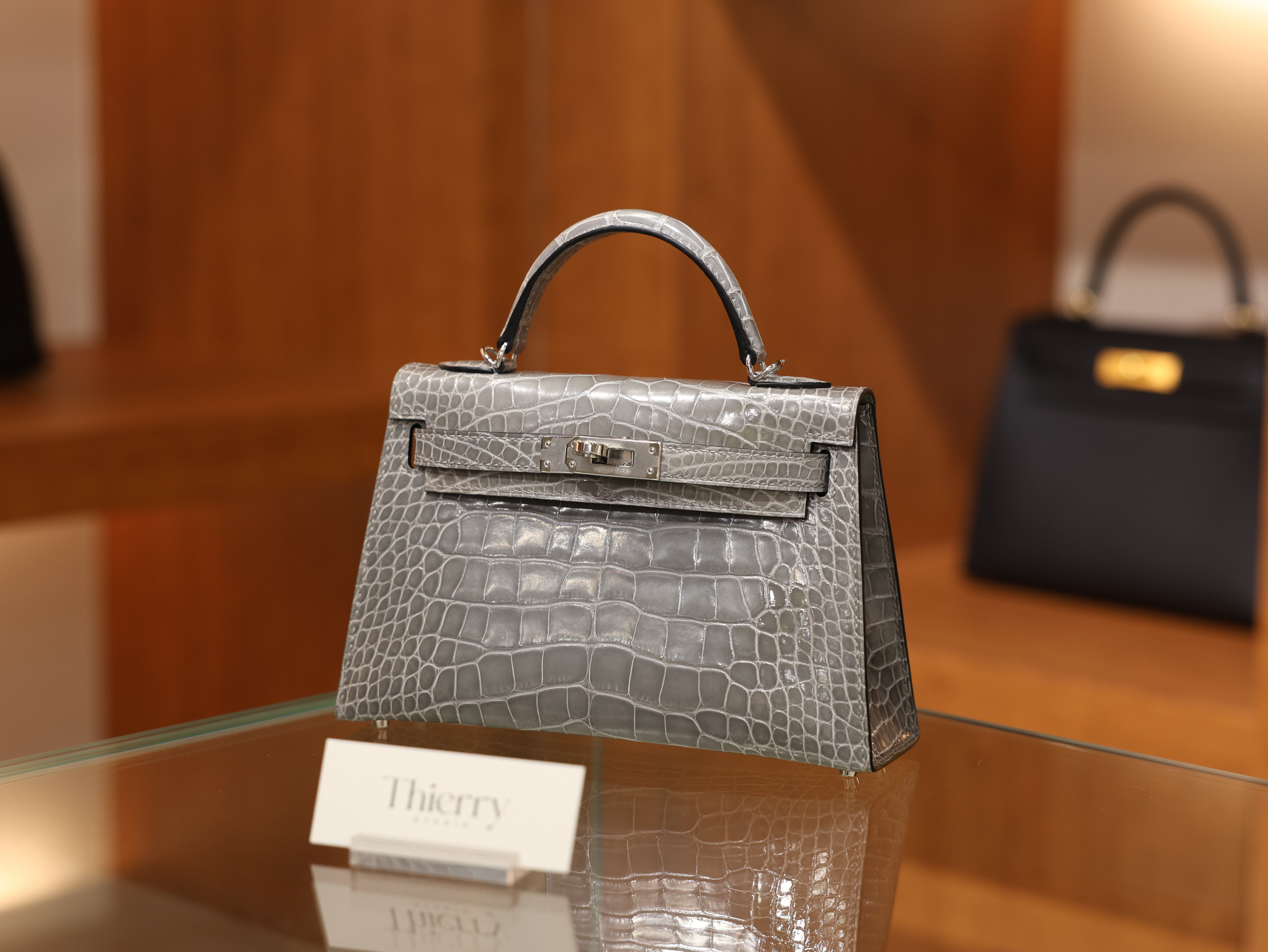 미니 켈리 샤이니 엘리게이터 그리스 시멘트 은장