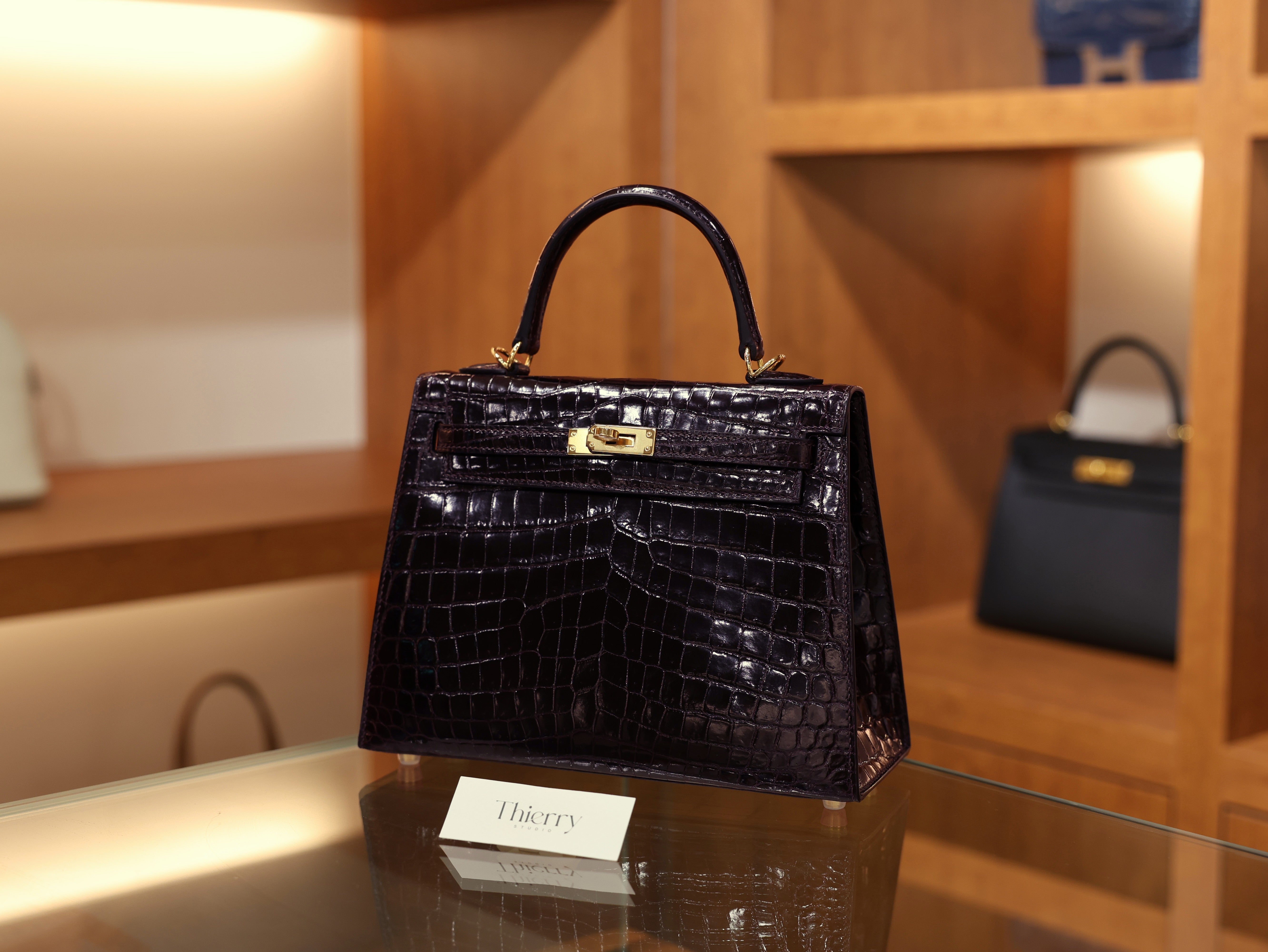 켈리 25 샤이니 닐로티쿠스 오베르진 금장