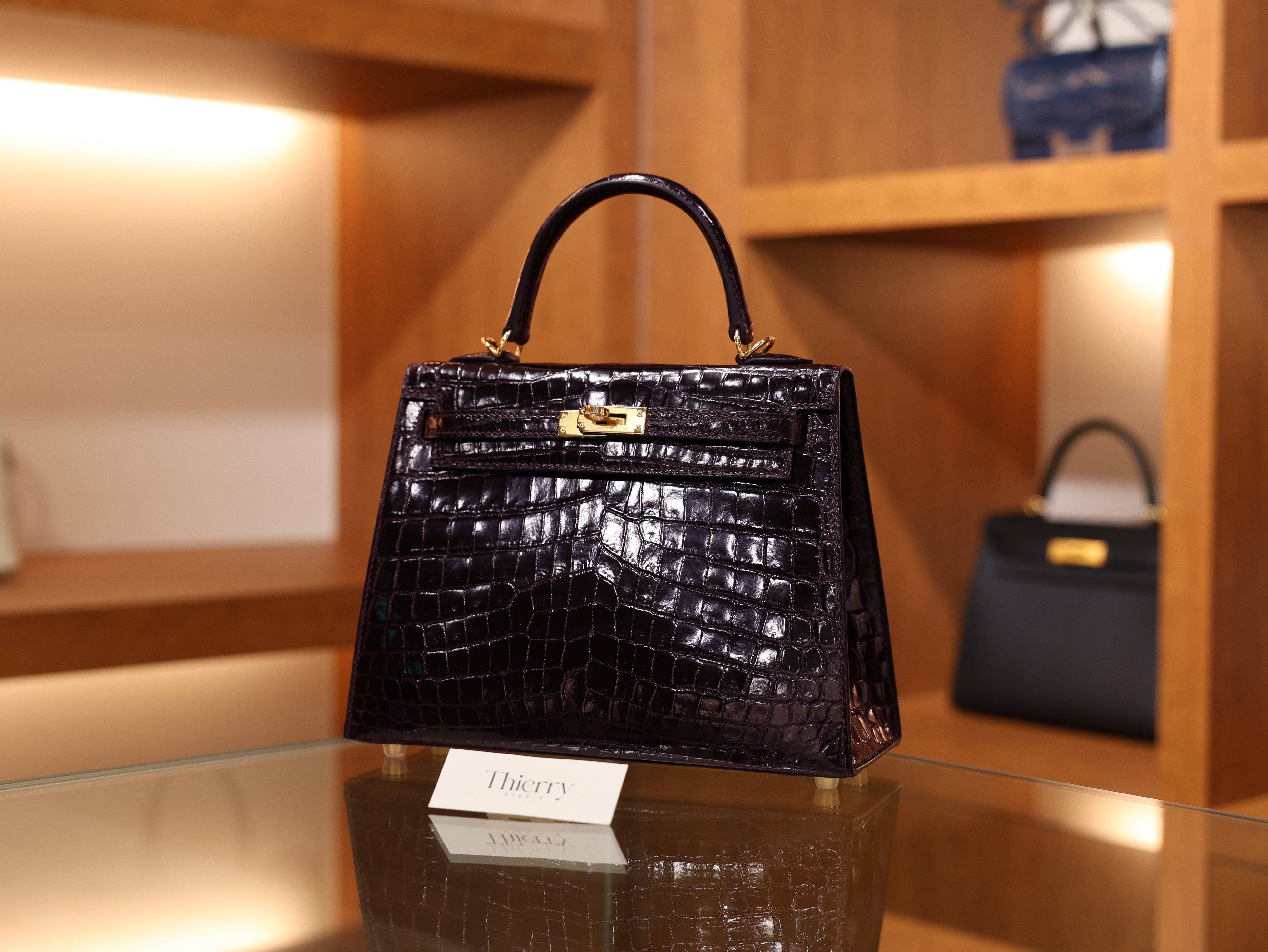 켈리 25 샤이니 닐로티쿠스 오베르진 금장