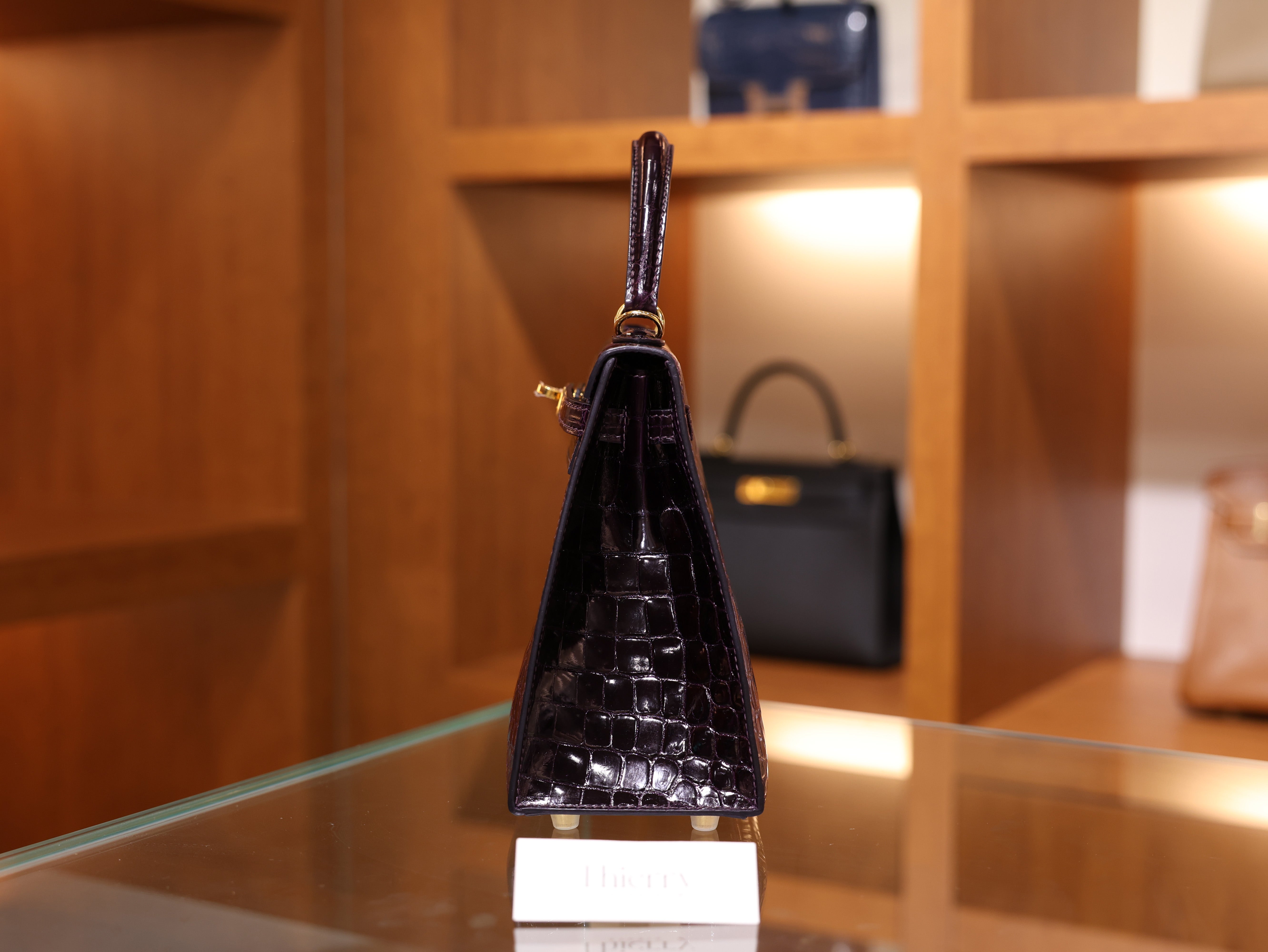 켈리 25 샤이니 닐로티쿠스 오베르진 금장