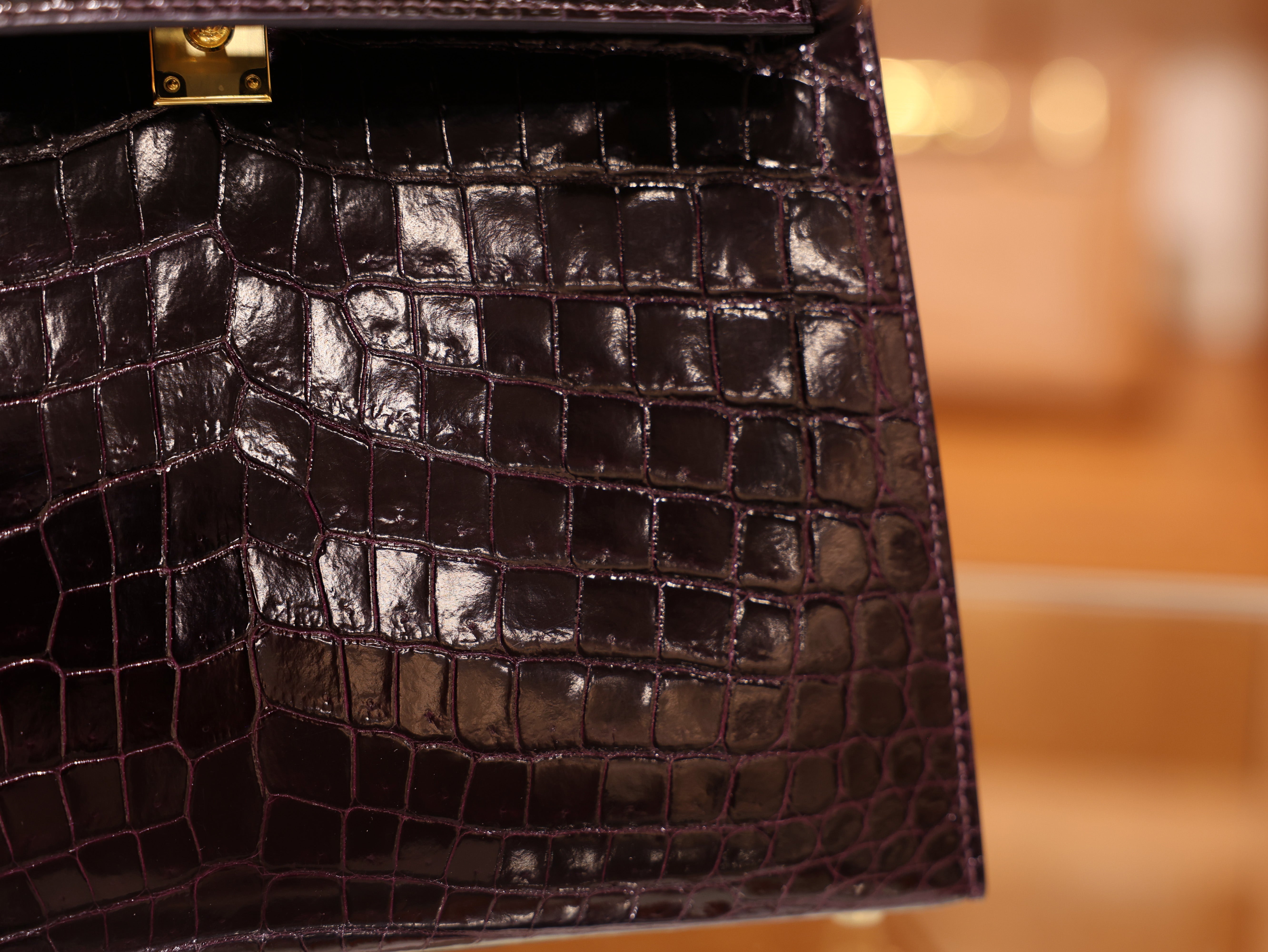 켈리 25 샤이니 닐로티쿠스 오베르진 금장