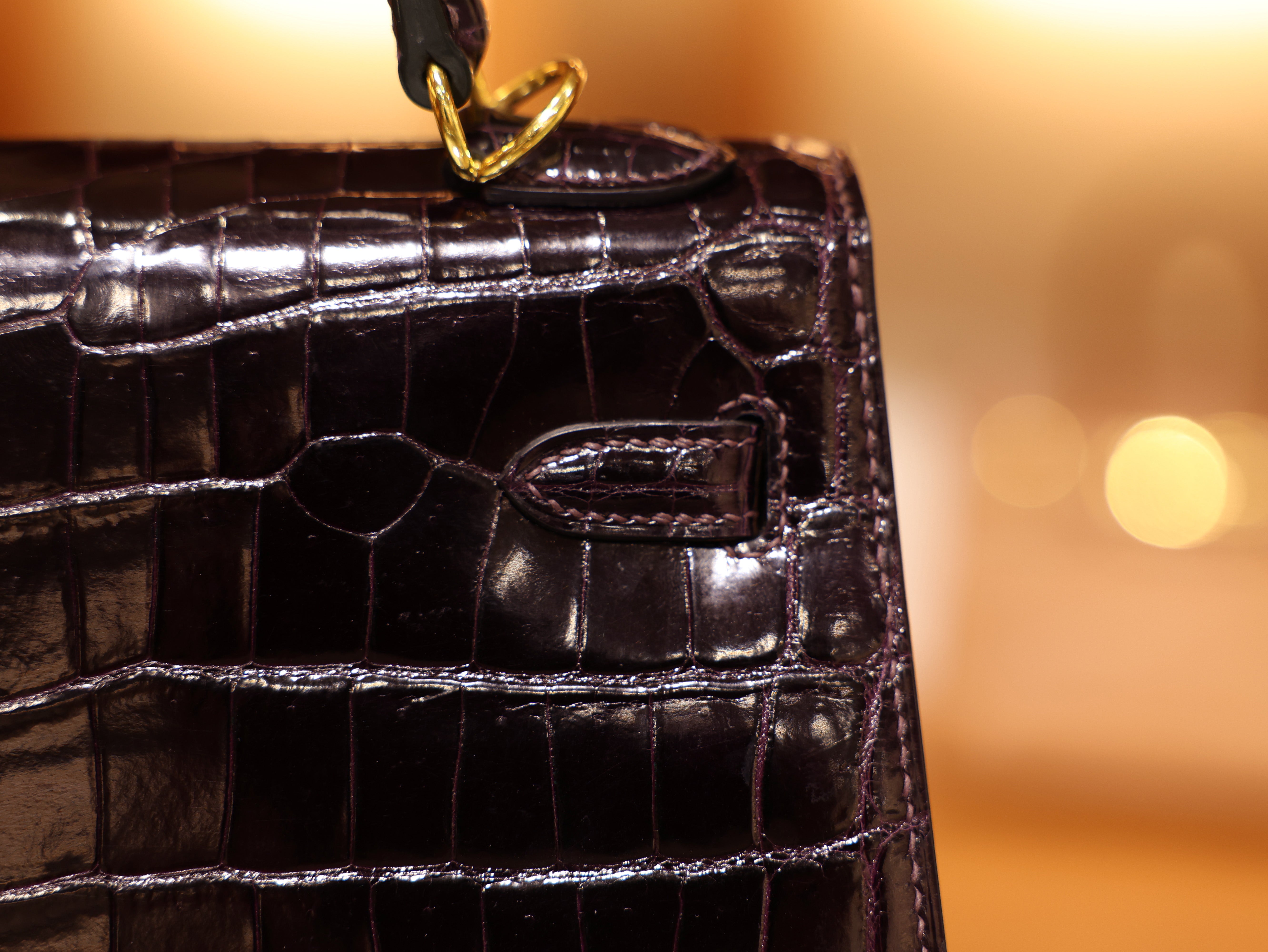 켈리 25 샤이니 닐로티쿠스 오베르진 금장