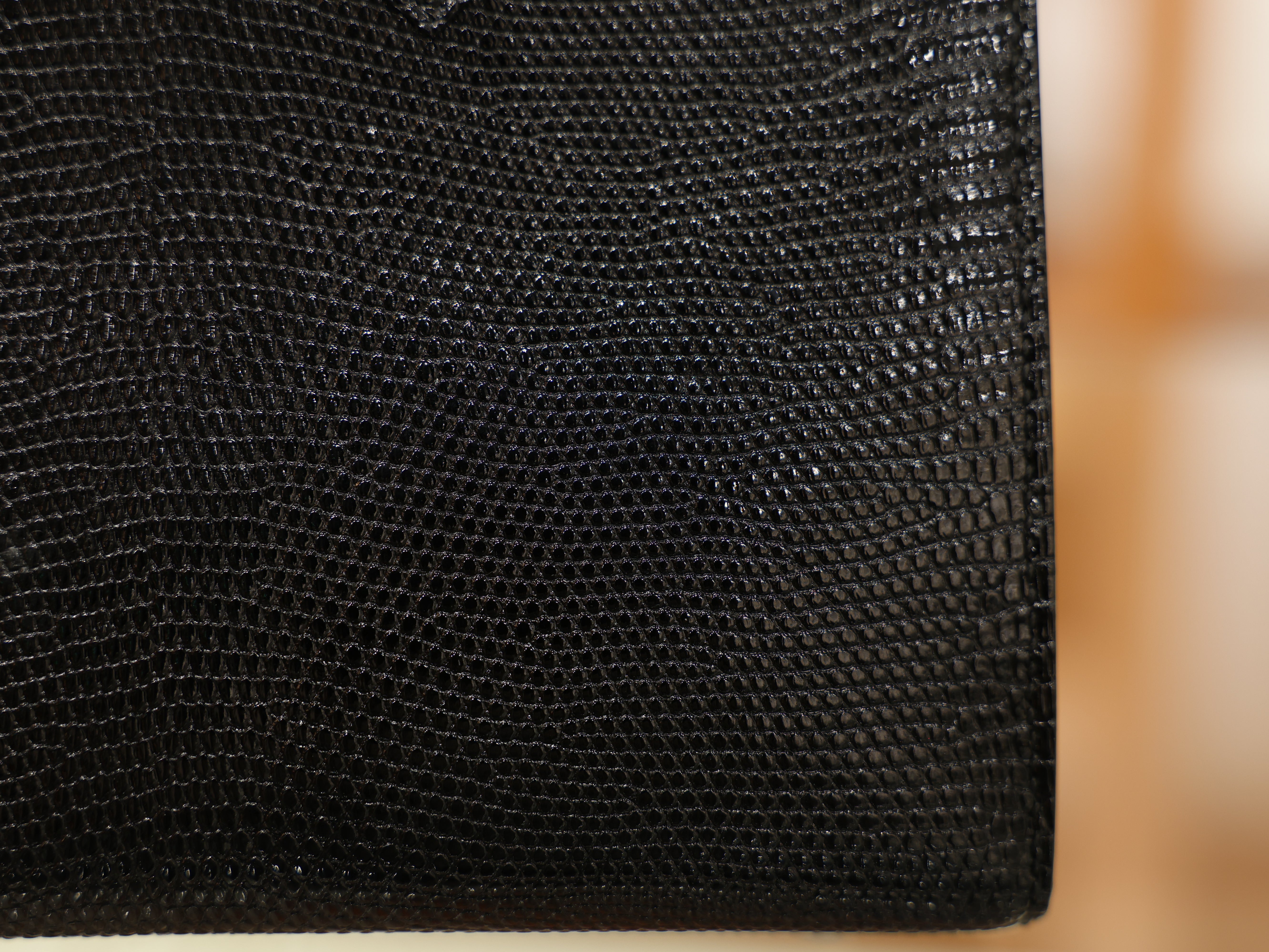 버킨 20 리자드 블랙 은장